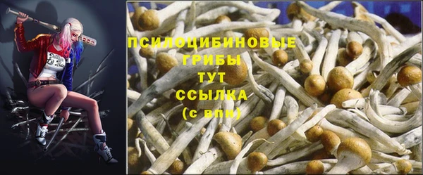 а пвп мука Алексеевка