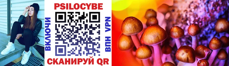 Галлюциногенные грибы Psilocybine cubensis  Осташков 