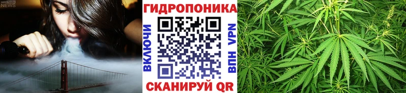 закладка  Осташков  Бошки Шишки индика 